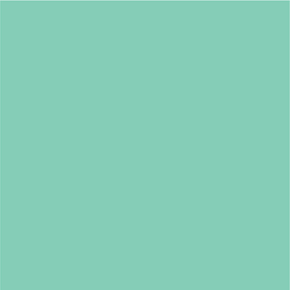 Siser EasyPSV Permanent Adhesive Sticker Vinyl - 12" x 5 Yards