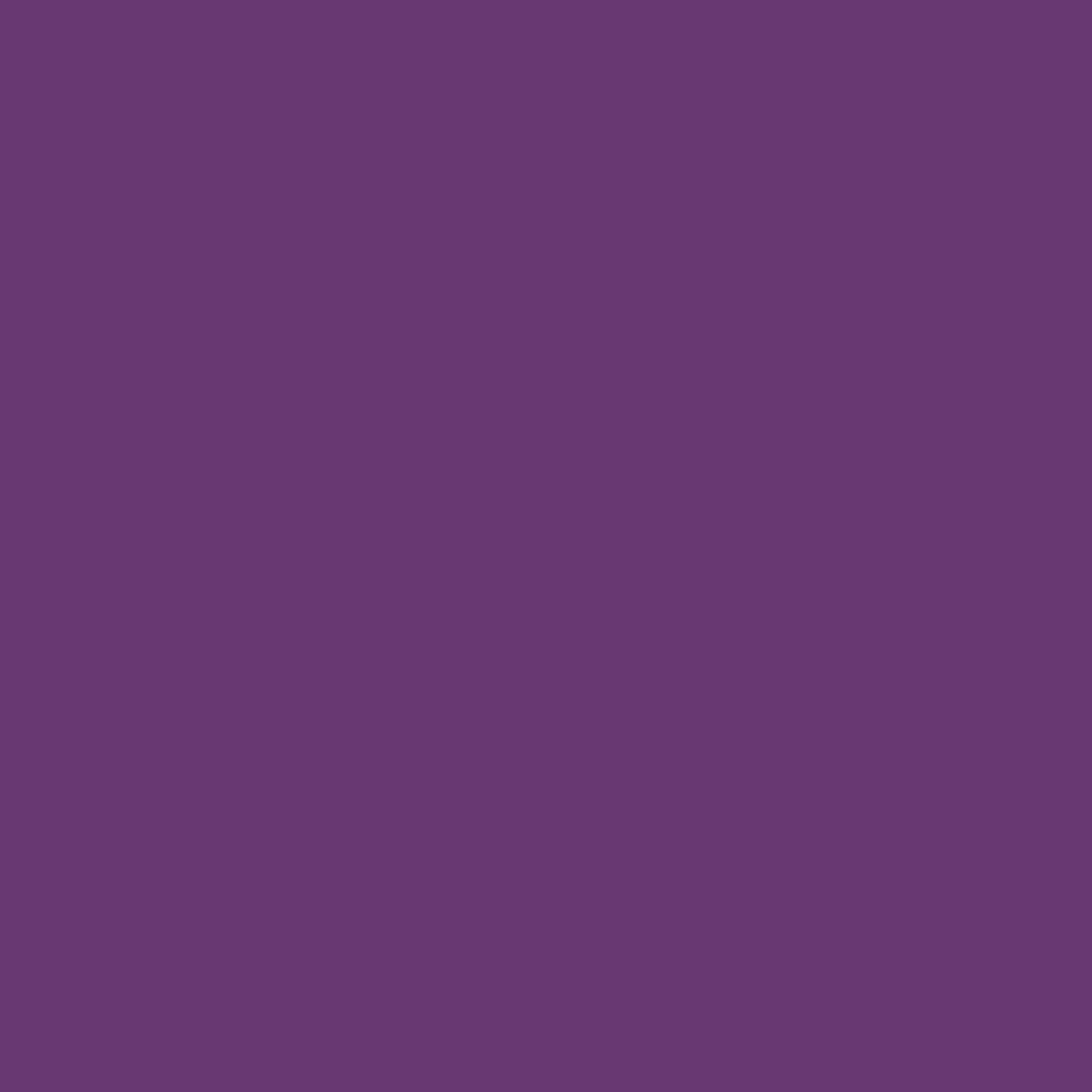 Siser EasyPSV Permanent Adhesive Sticker Vinyl - 24" x 5 Yards