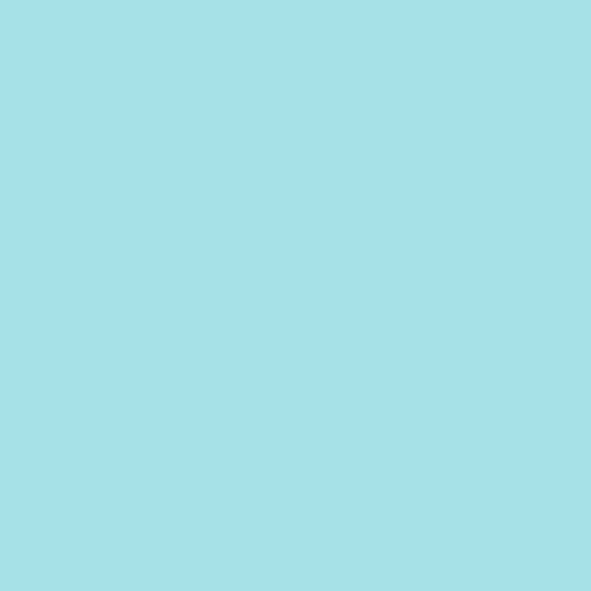 Siser EASYWEED STRETCH Heat Transfer Vinyl - 15" x 5 Yards