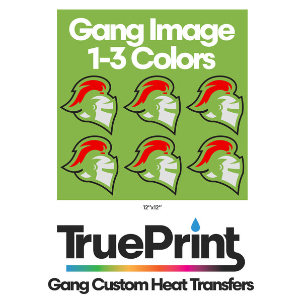 HPN TruePrint Screen Print Gang Custom Heat Transfers