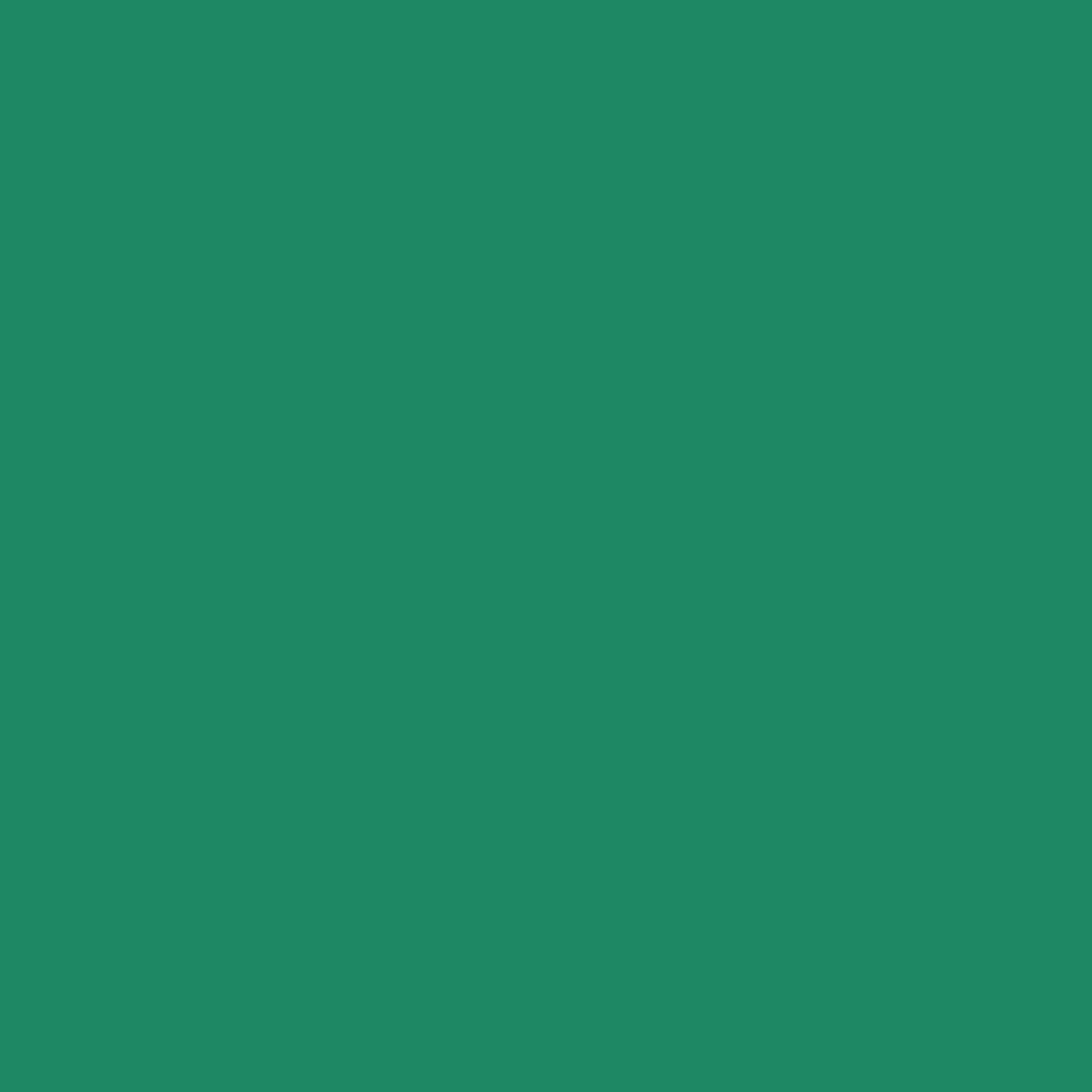 Siser EASYWEED Heat Transfer Vinyl - 15" x 1 Foot