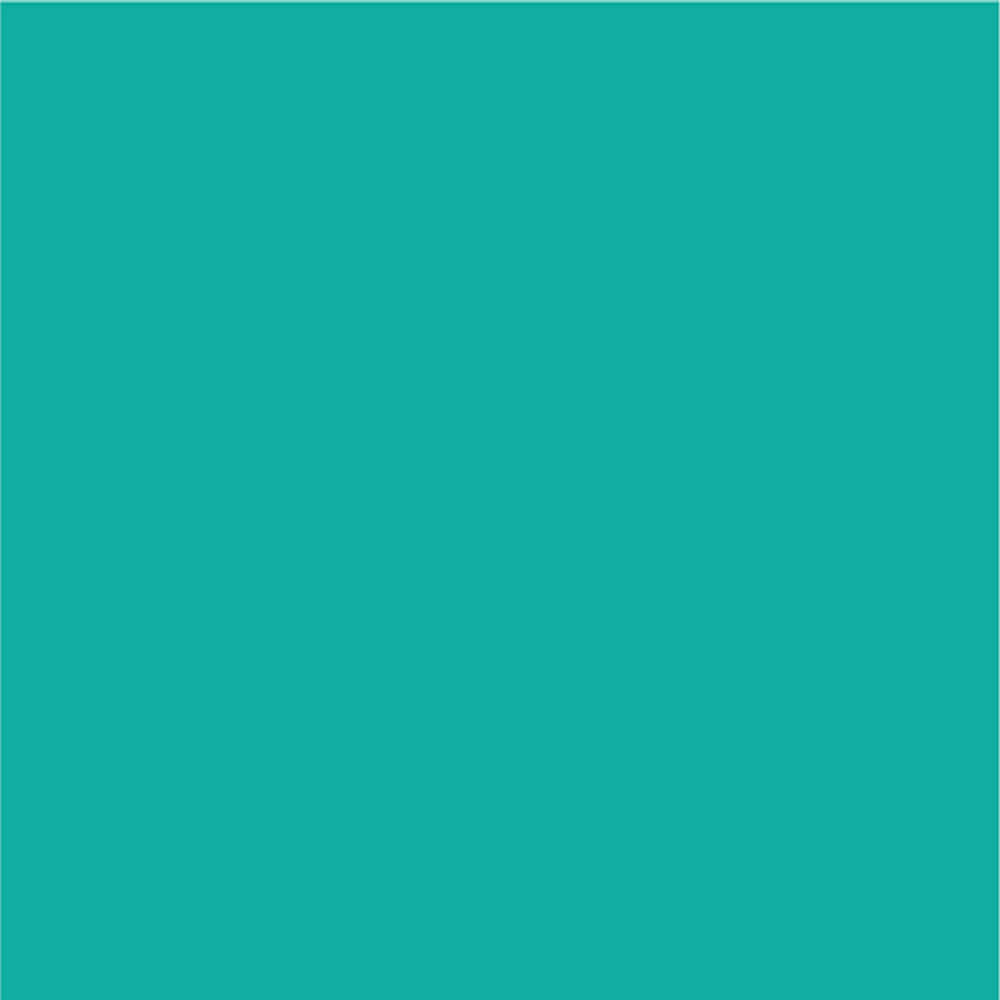 Siser EasyPSV Permanent Adhesive Sticker Vinyl - 12" x 5 Yards