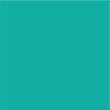 Siser EasyPSV Permanent Adhesive Sticker Vinyl - 24" x 25 Yards