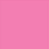 Siser EasyPSV Permanent Adhesive Sticker Vinyl - 24" x 25 Yards