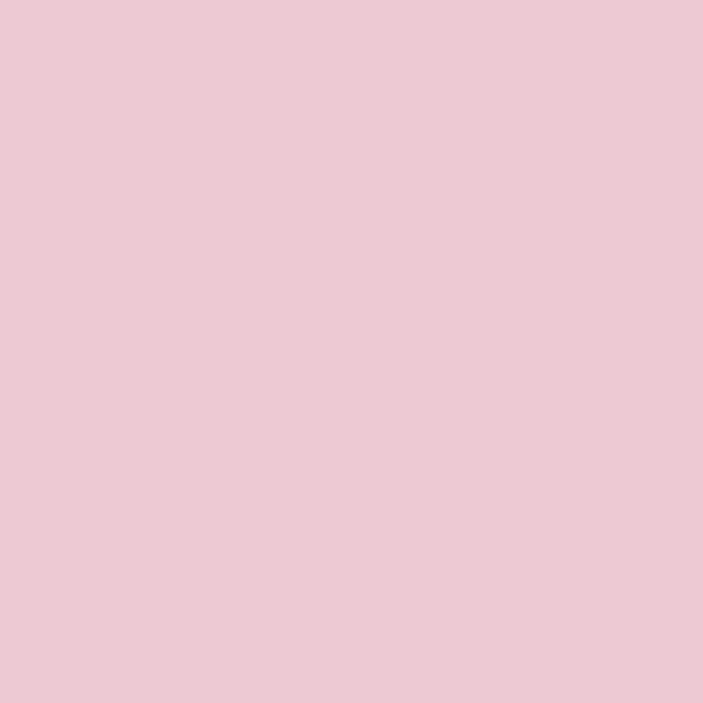 Siser EasyPSV Permanent Adhesive Sticker Vinyl - 12" x 5 Yards