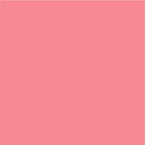 Siser EasyPSV Permanent Adhesive Sticker Vinyl - 24" x 25 Yards