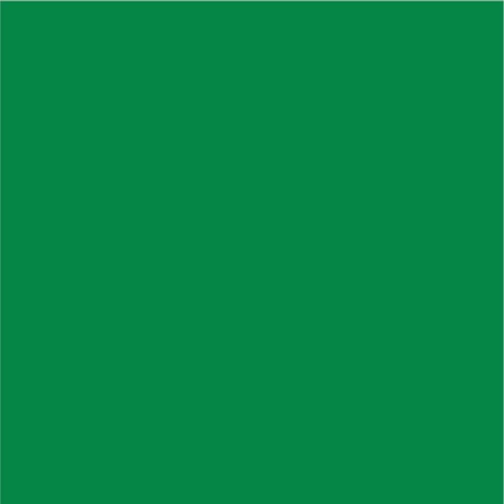 Siser EasyPSV Permanent Adhesive Sticker Vinyl - 12" x 5 Yards