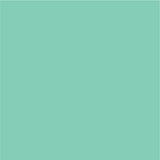 Siser EasyPSV Permanent Adhesive Sticker Vinyl - 24" x 25 Yards