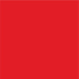 Siser EasyPSV Permanent Adhesive Sticker Vinyl - 12" x 5 Yards