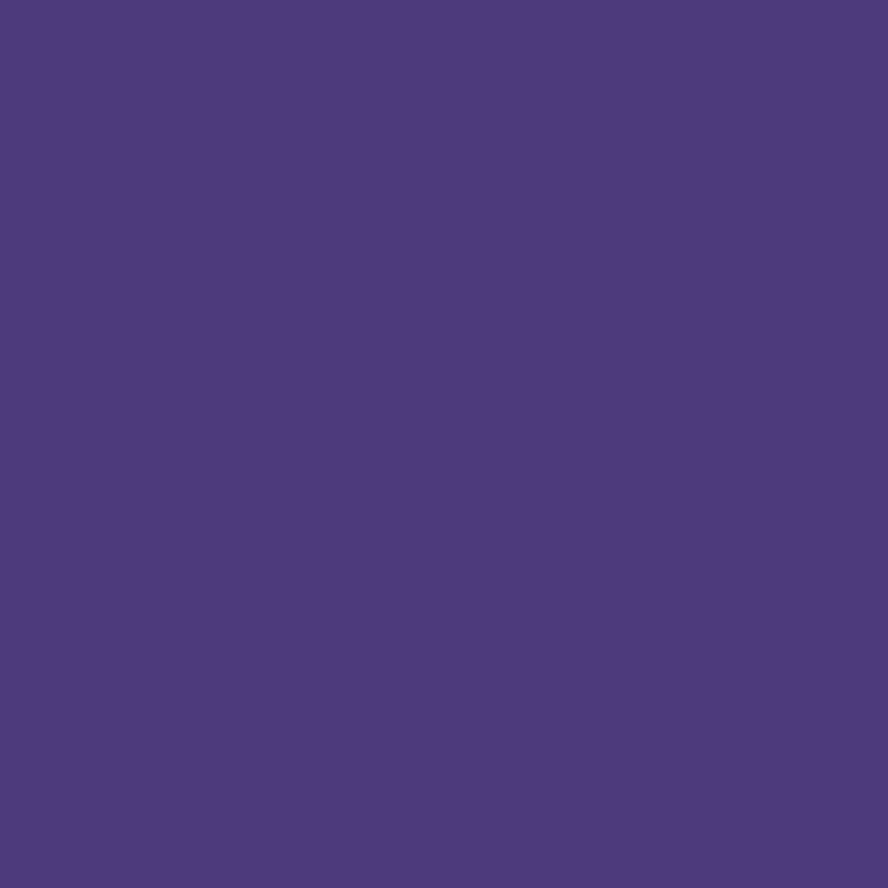 Siser EasyPSV Permanent Adhesive Sticker Vinyl - 12" x 5 Yards
