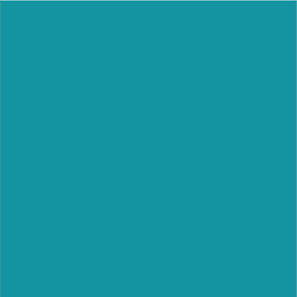 Siser EasyPSV Permanent Adhesive Sticker Vinyl - 12" x 5 Yards