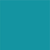 Siser EasyPSV Permanent Adhesive Sticker Vinyl - 24" x 25 Yards