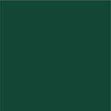 Siser EasyPSV Permanent Adhesive Sticker Vinyl - 24" x 25 Yards