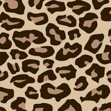 Siser EasyPSV Patterns Permanent Adhesive Sticker Vinyl - 12" x 1 Foot - HeatPressNation