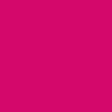 Siser EASYWEED Heat Transfer Vinyl 20" - By the Yard