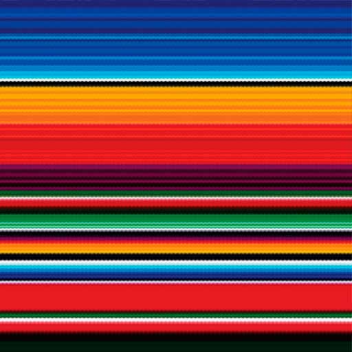Siser EasyPSV Patterns Permanent Adhesive Sticker Vinyl - 12" x 1 Foot - HeatPressNation