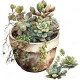 Succulent Assortment Design - HeatPressNation