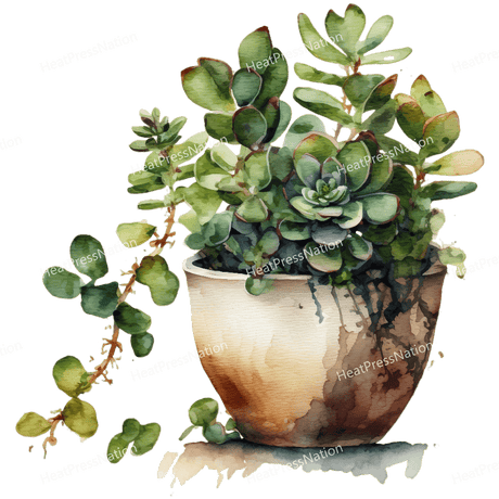 Plants Growing Design - HeatPressNation