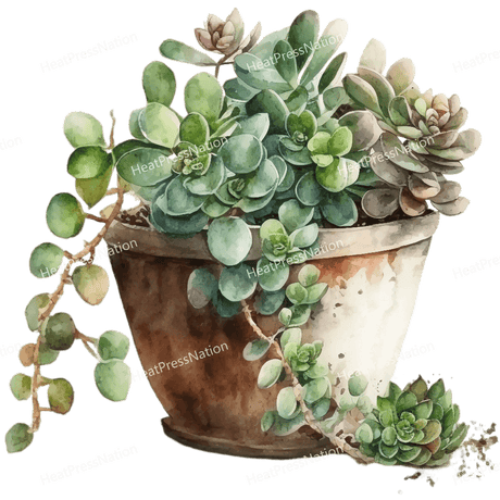 Plant in Pot Design - HeatPressNation