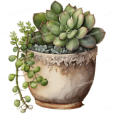 Succulents Growing Design - HeatPressNation
