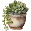 Succulents Growing Design