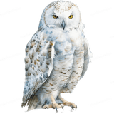 White Owl Front Design - HeatPressNation