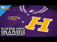 Siser STRIPFLOCK PRO Heat Transfer Material 15" - By the Yard
