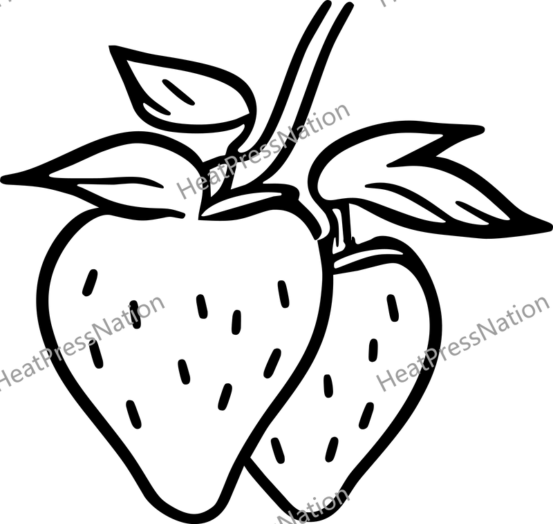 Strawberry Fruit Vector Design